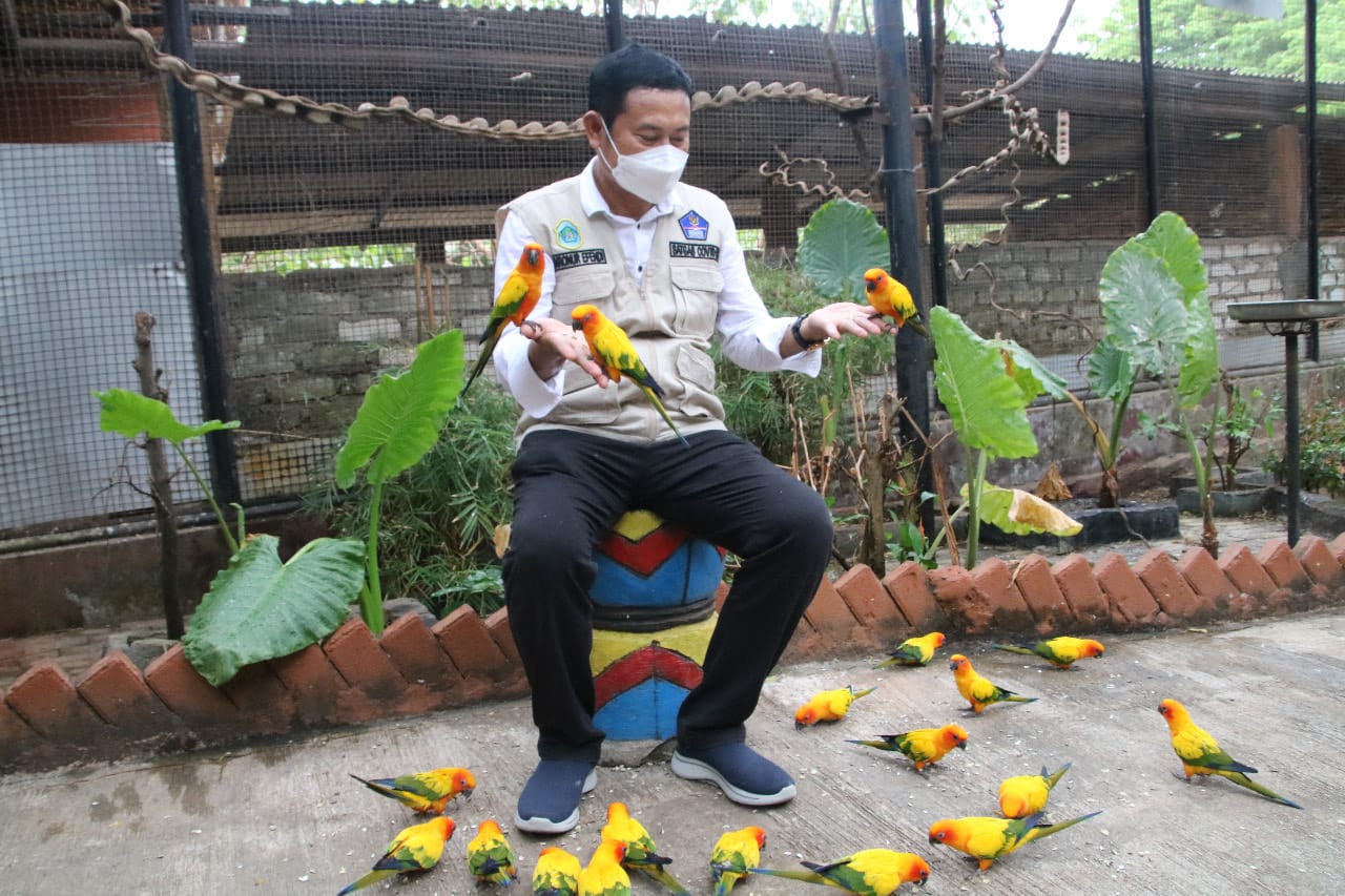 Pakai Aplikasi PeduliLindungi, Wisata Mazoola Siap Buka