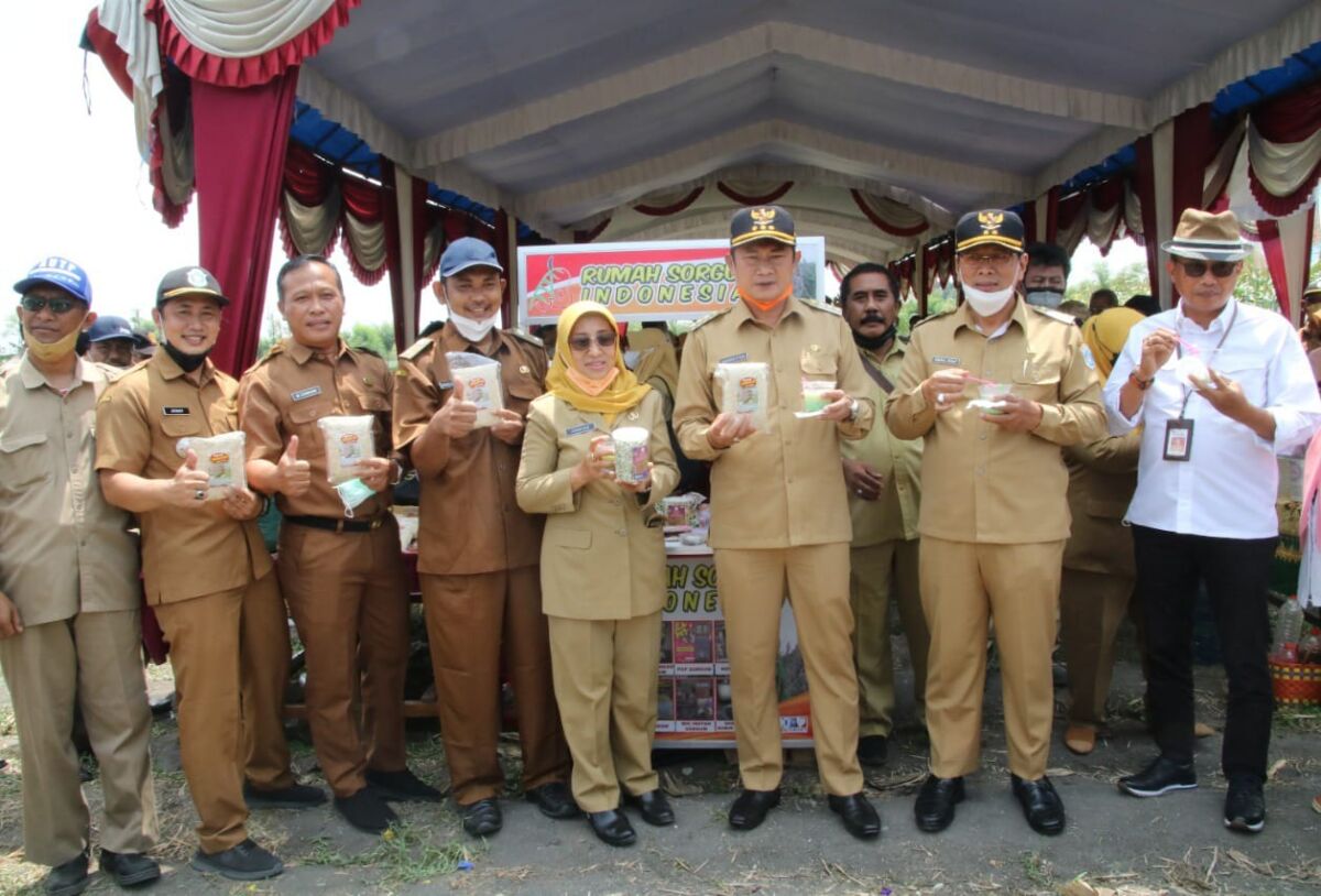 Dalam Rangka HPS ke 41, Diversifikasi Pangan ; Sorgum Komoditas Pangan Lokal Potensial Lamongan