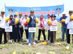 Aset Desa Latukan, dari Agrowisata hingga Budidaya Koi