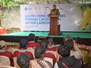 Ripening, Tingkatkan Nilai Tawar Pisang Cavendis Asal Lamongan