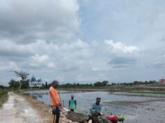 Babinsa German Bantu Warga Bangun Tanggul Penahan Jalan