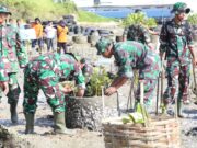 Cegah Abrasi dalam melestarikan Alam dan Hijaukan Bibir Pantai, Kodim 0812 Lamongan gelar Penanaman Mangrove