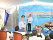 Lamongan Gelar Lomba Otak-otak, Inovasikan Varian Menu Ikan.
