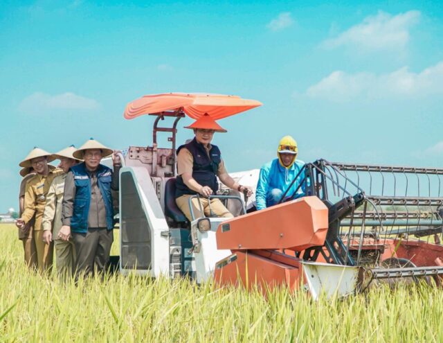 WhatsApp Image 2023-08-25 at 23.50.41