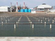 Warga Ngimbang Keluhkan Abu Hitam Pekat yang Diduga dari Pabrik Gula KTM.