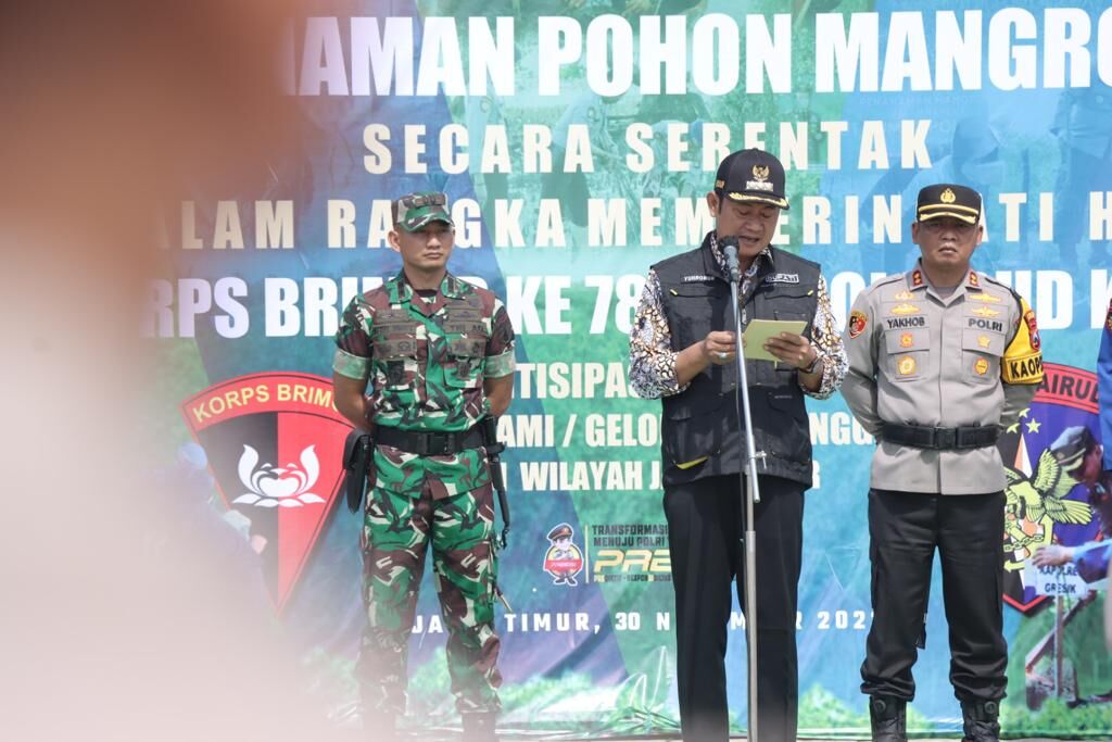 WhatsApp Image 2023-11-30 at 11.16.27