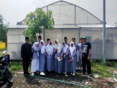 Projek Penguatan Profil Belajar Pancasila (Budidaya Melon Fujisawa) SMA Al Kautsar Manyar