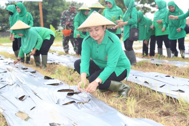 WhatsApp Image 2024-04-23 at 14.33.58