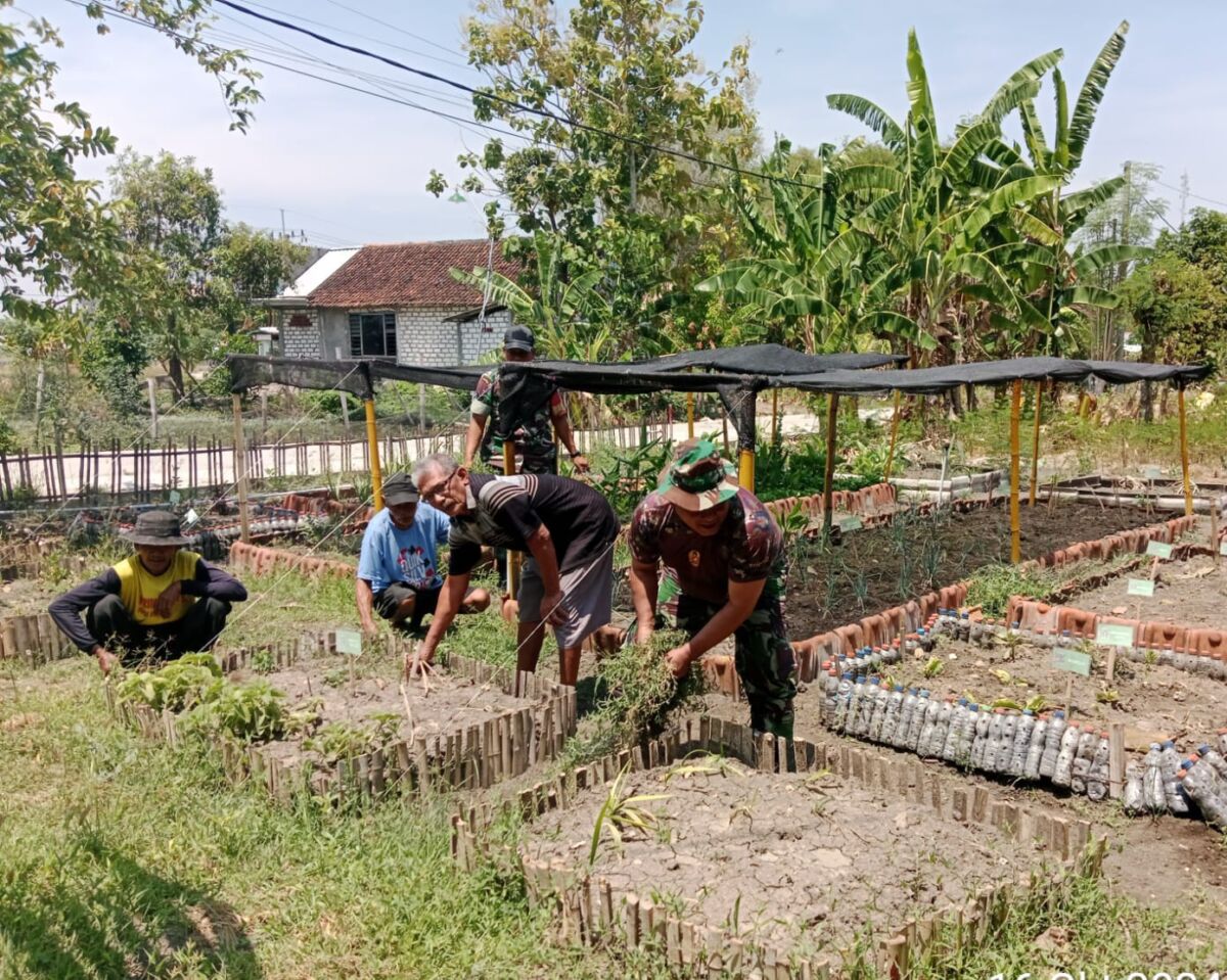 WhatsApp Image 2024-10-18 at 17.30.44