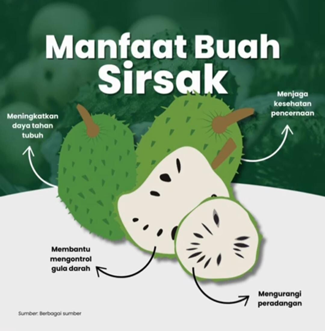 Rahasia Dibalik Buah Sirsak: Si Kaya Manfaat untuk Kesehatan
