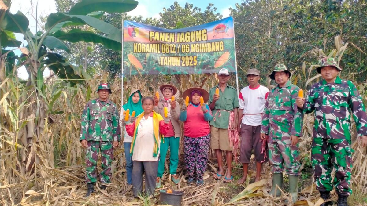 Tingkatkan Produktivitas, Koramil 0812/06 Ngimbang Sosialisasikan Perawatan Jagung ke Petani