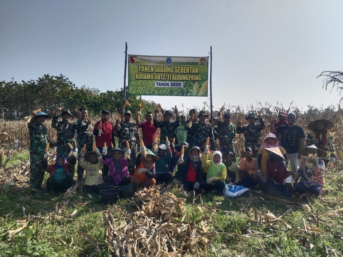 Dukung Ketahanan Pangan Nasional, Koramil 0812/11 Kedungpring Bersama PPL dan Poktan Panen Jagung