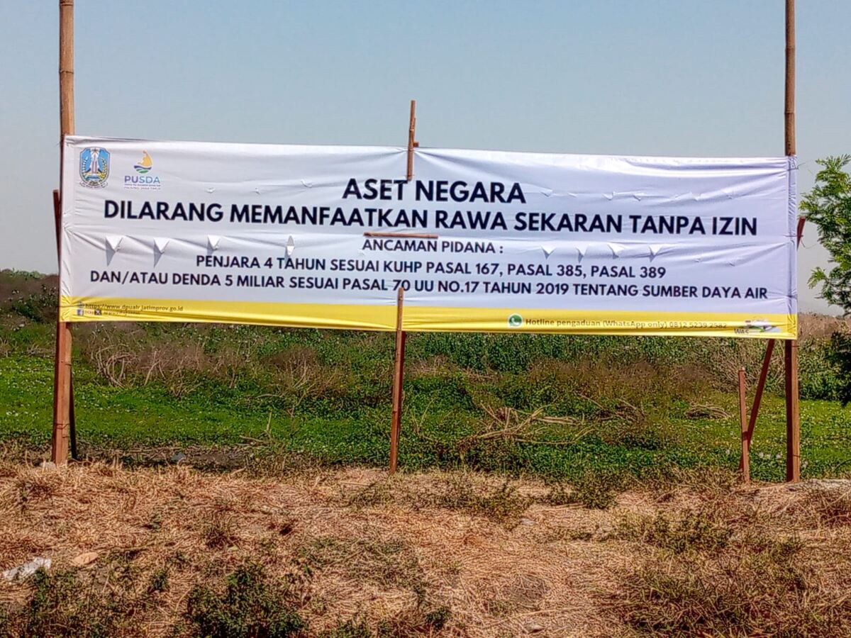 Petani Lamongan Kecewa, Janji Normalisasi Rawa Sekaran dari Tambak Liar Belum Juga Terealisasi