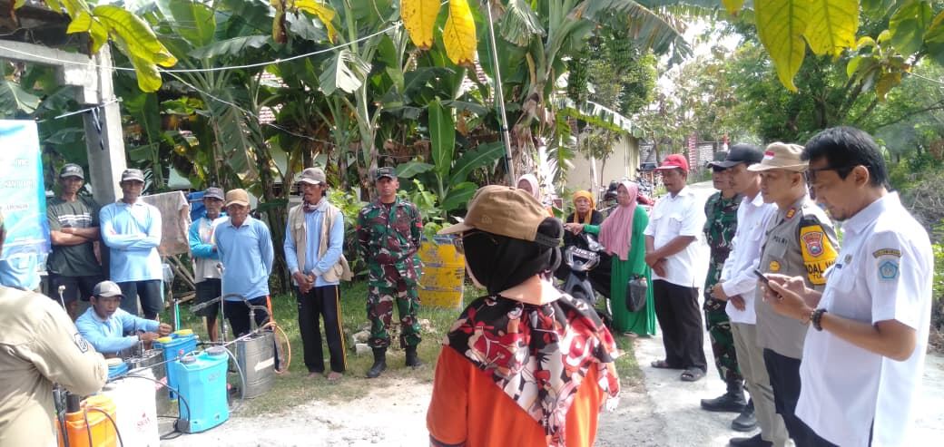 Sinergitas Koramil 0812/03 Turi Bersama Muspika dan UPT Pertanian Dalam Gerakan Pengendalian Hama