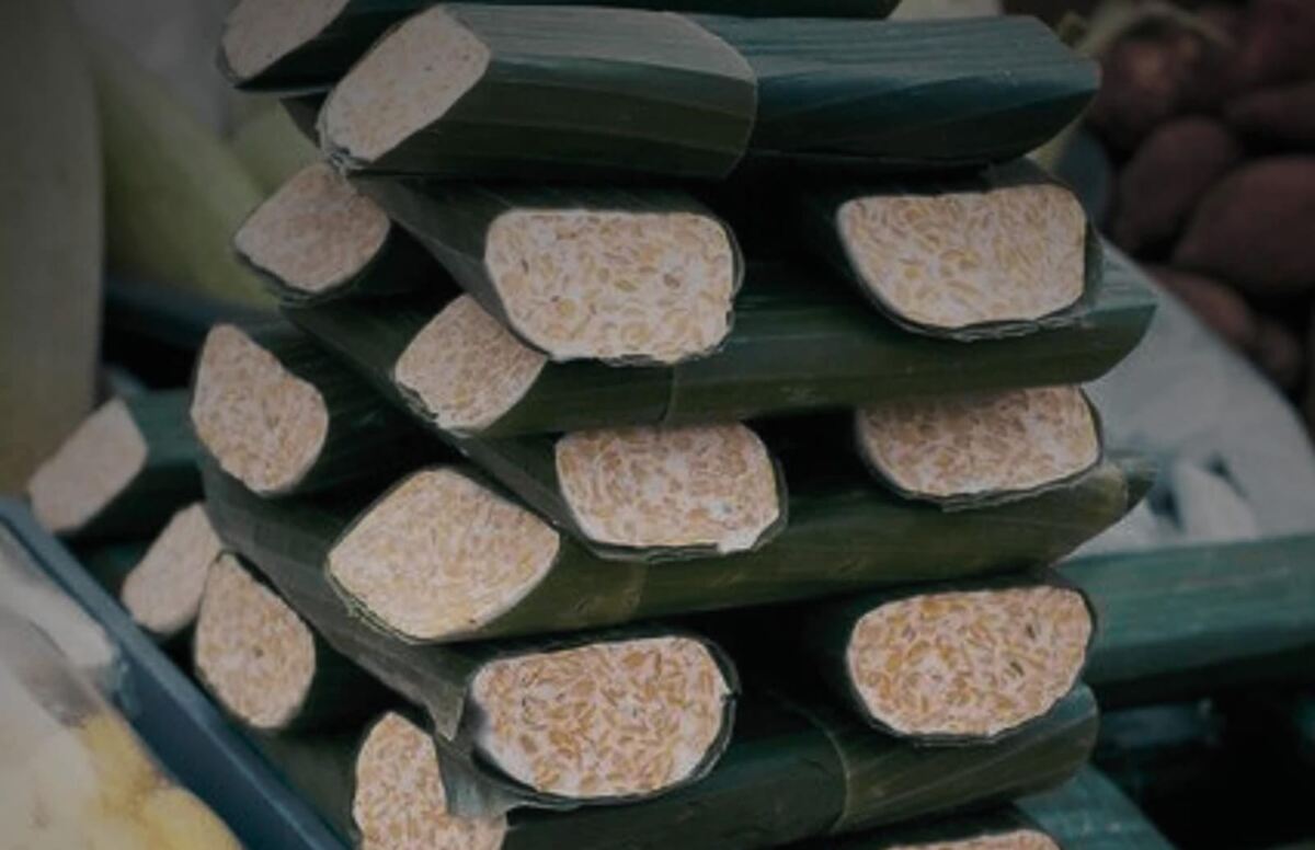 Cara Makan Tempe Ternyata Salah Selama Ini, IPB Ungkap Rahasia Besar di Baliknya