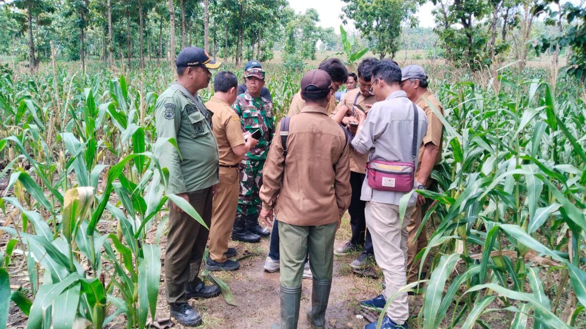 Danramil Ngimbang Bersama Tim Gabungan Laksanakan Survey Lahan Pembangunan Koperasi Desa Merah Putih (KDKMP)