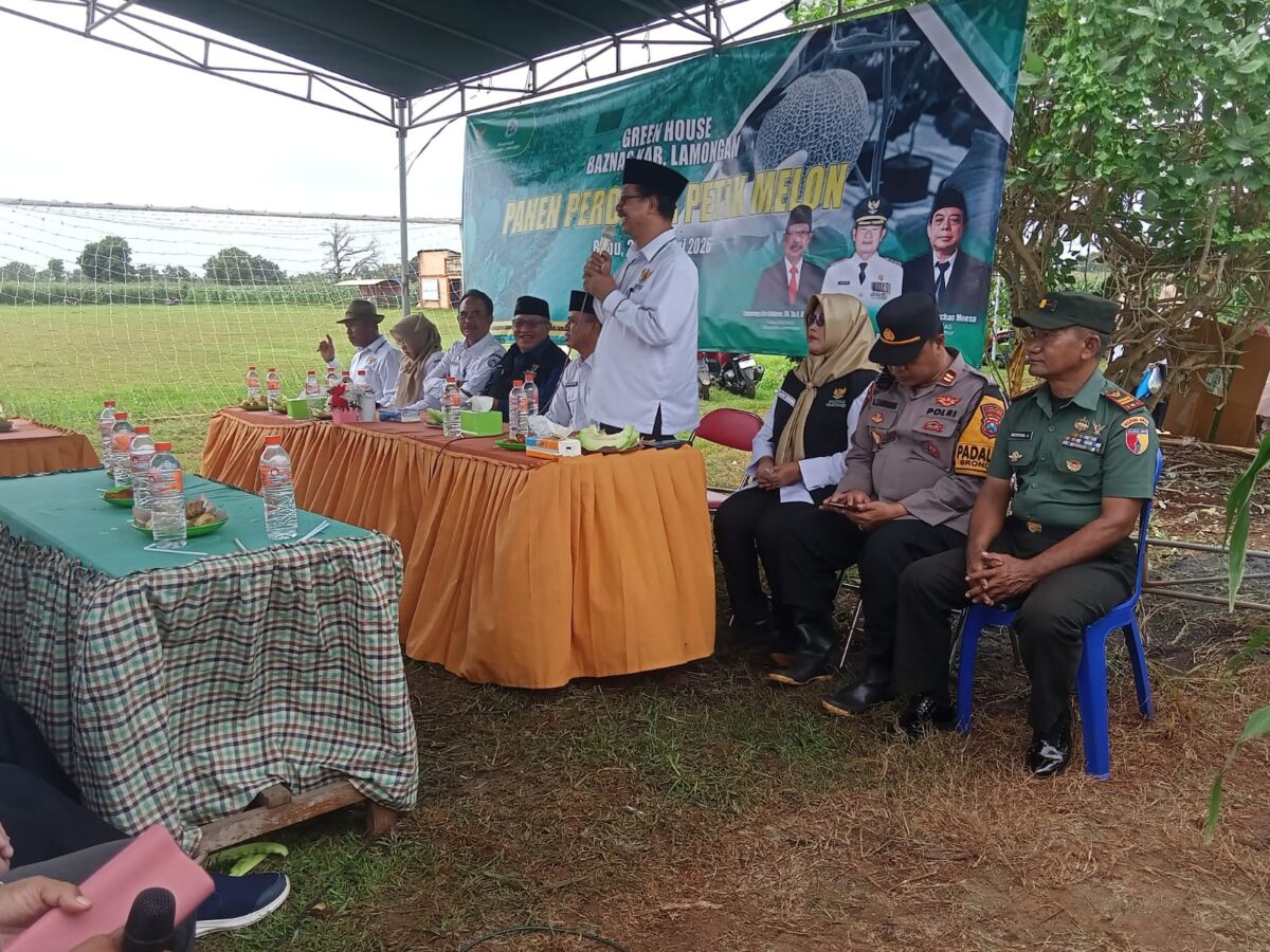 Danramil Brondong Hadiri Panen Raya Melon, Hasil Program Greenhouse BAZNAS di Sendangharjo