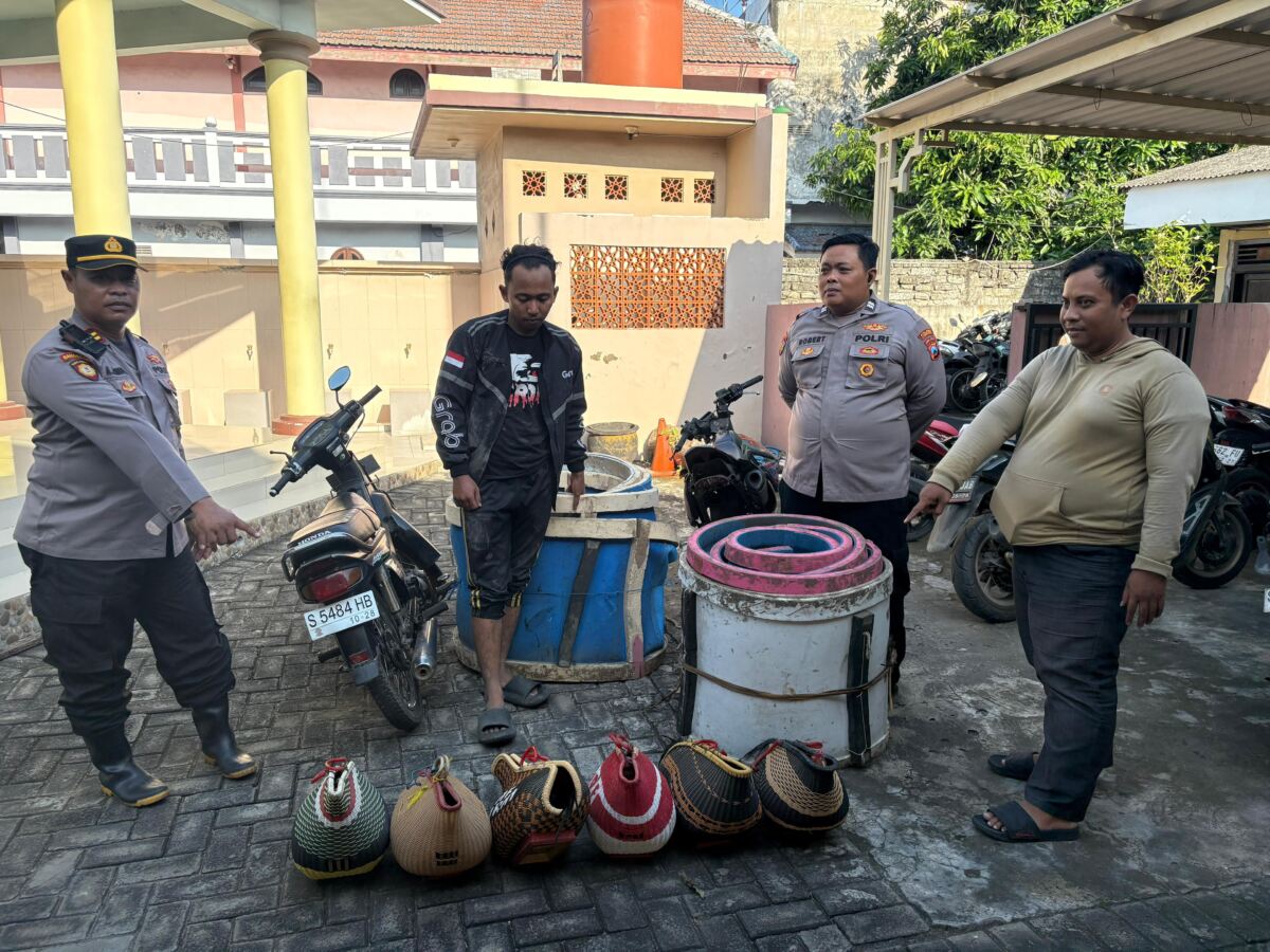 Respon Cepat Polsek Brondong Gerebek Sabung Ayam di Area Persawahan, Pelaku Kabur Melarikan Diri.