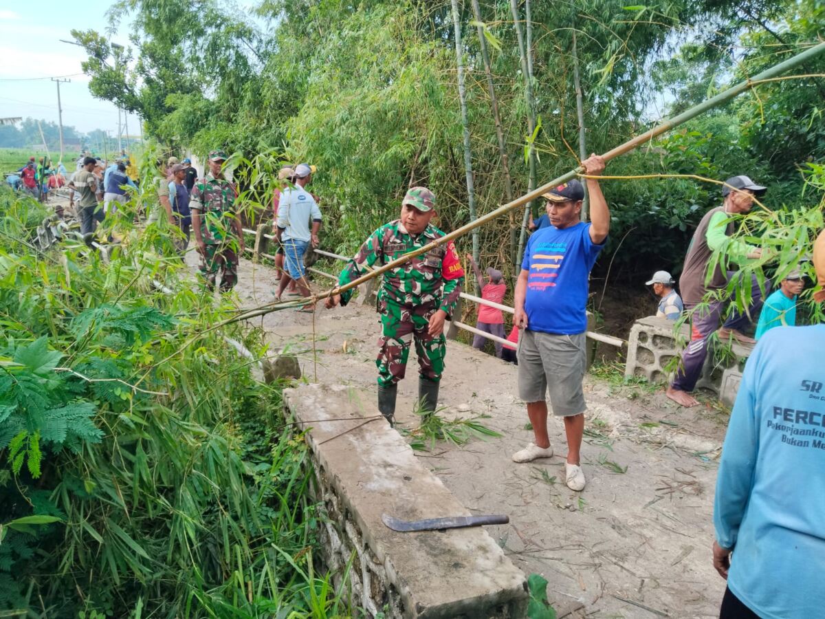 Babinsa Koramil Sukorame Bersinergi bersama Warga Bahu-Membahu Bangun Jembatan Bambu Darurat di Desa Sewor