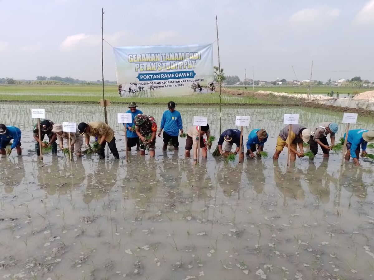 Dukung Ketahanan Pangan, Batuud Koramil 0812/15 Karanggeneng Hadiri Tanam Padi di Prijekngablak
