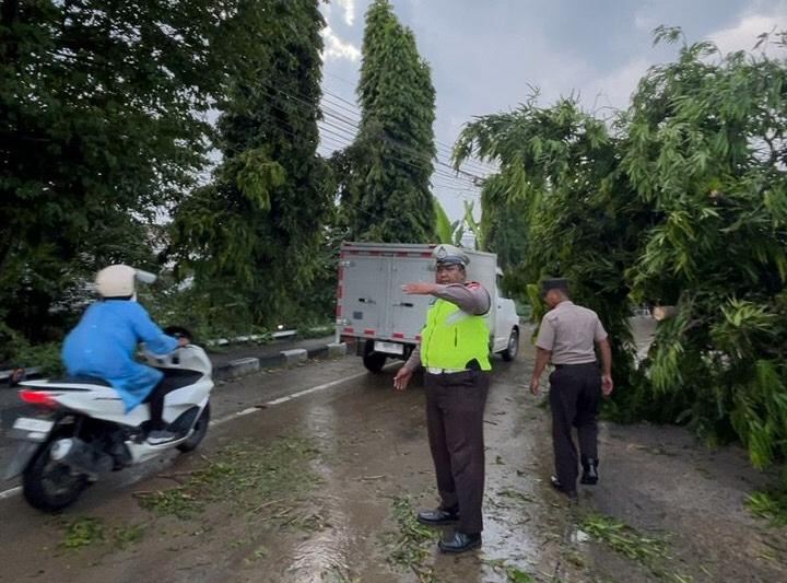 Respons Cepat Polres Lamongan Tangani Pohon Tumbang Usai Ditabrak Truk Tangki di Babat