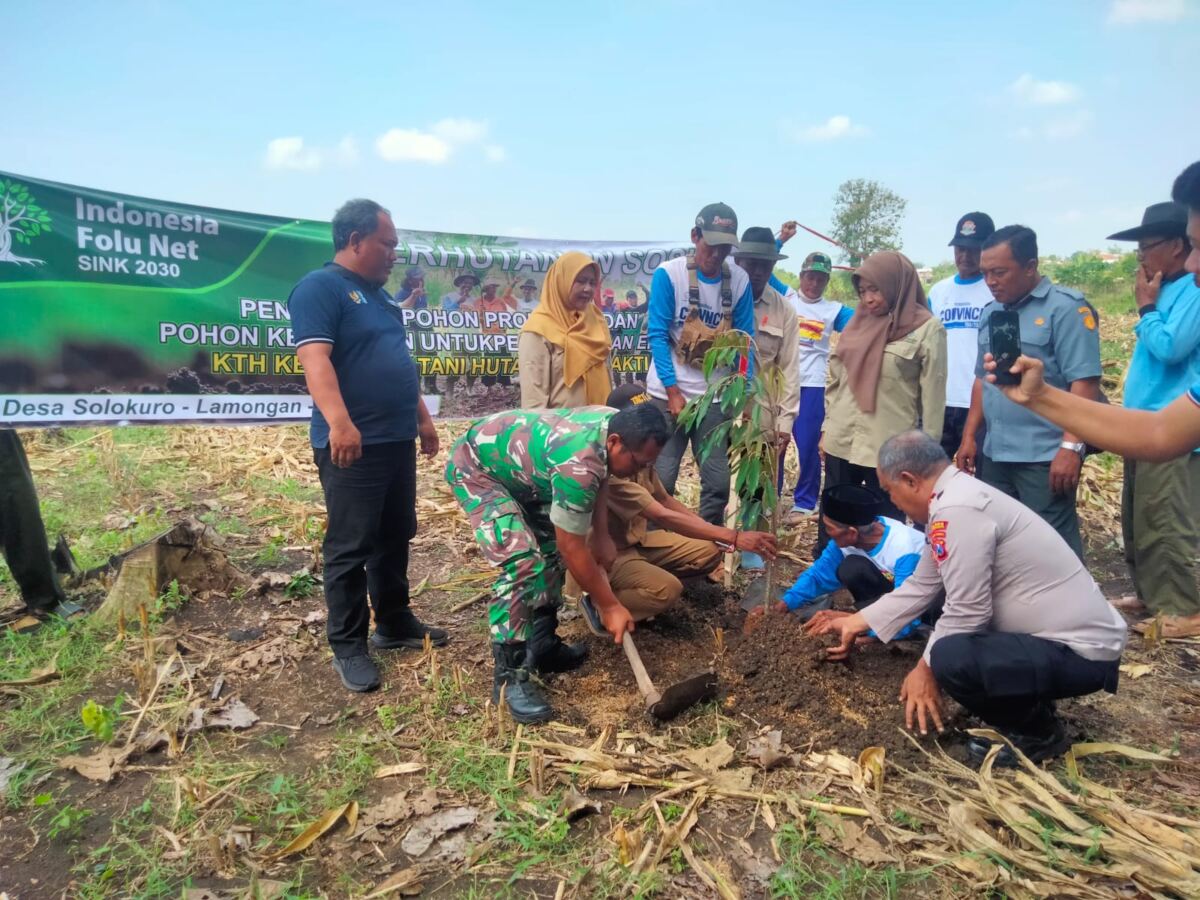 Babinsa Solokuro Tanam Pohon Produktif Bersama LMDH, Wujud Kepedulian Lingkungan